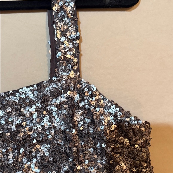 Abercrombie and Fitch Silver Sequin Crop Tank - Picture 3 of 6
